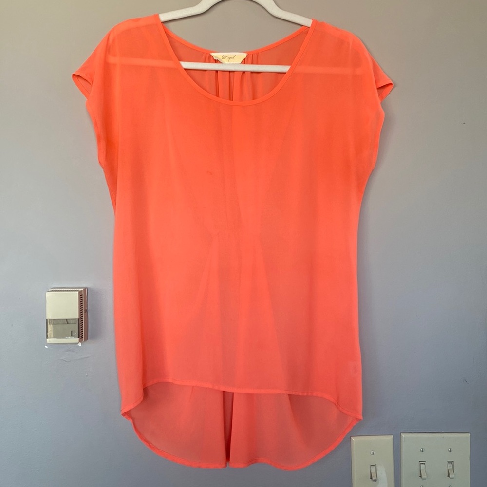 Sheer Coral Pink Blouse size Medium